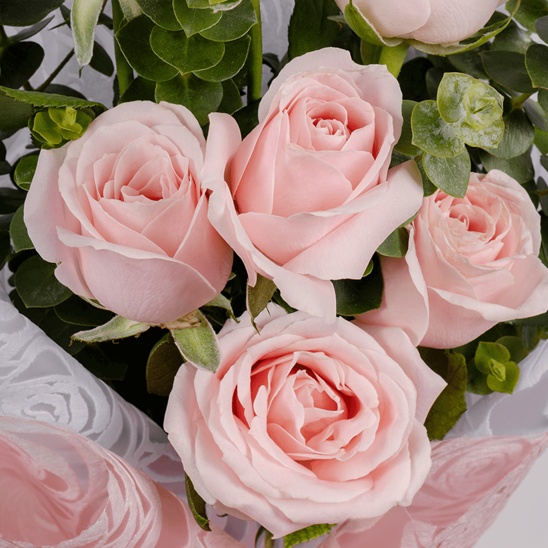 7 pink roses bouquet with eucalyptus in pink wrapping