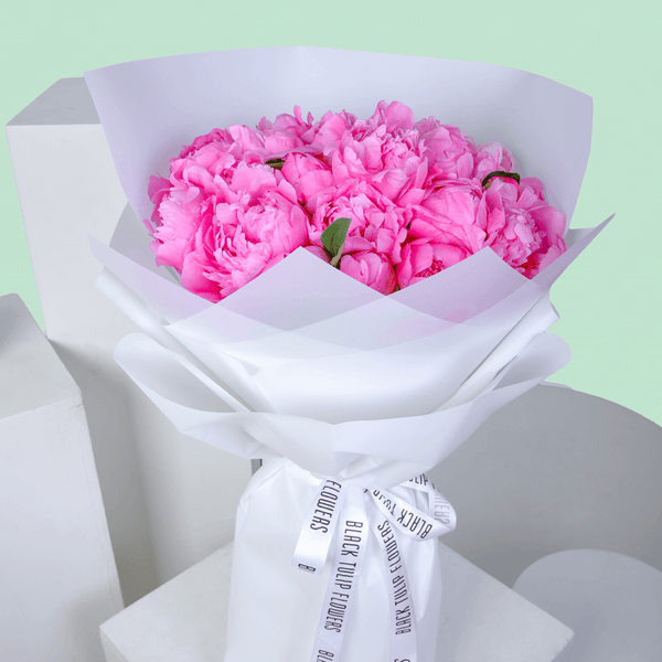 Bouquet of fresh pink peonies with soft blush petals in a white wrap