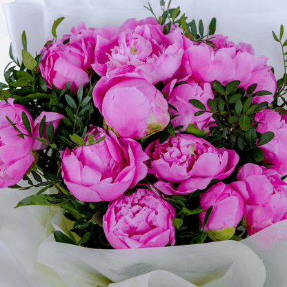 Pink peonies with greenery wrapped in elegant white.