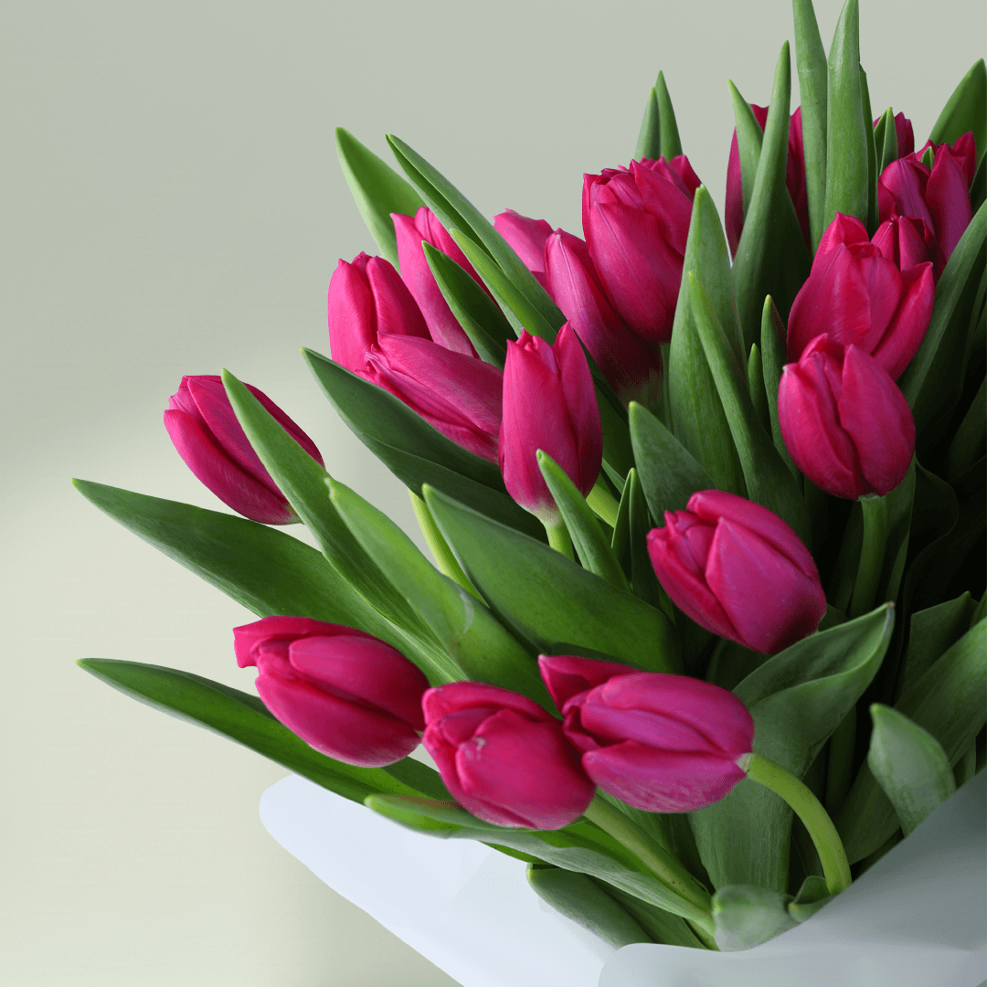Pink Tulip Bouquet for Mom with 30 pink tulips in Korean-style wrapping