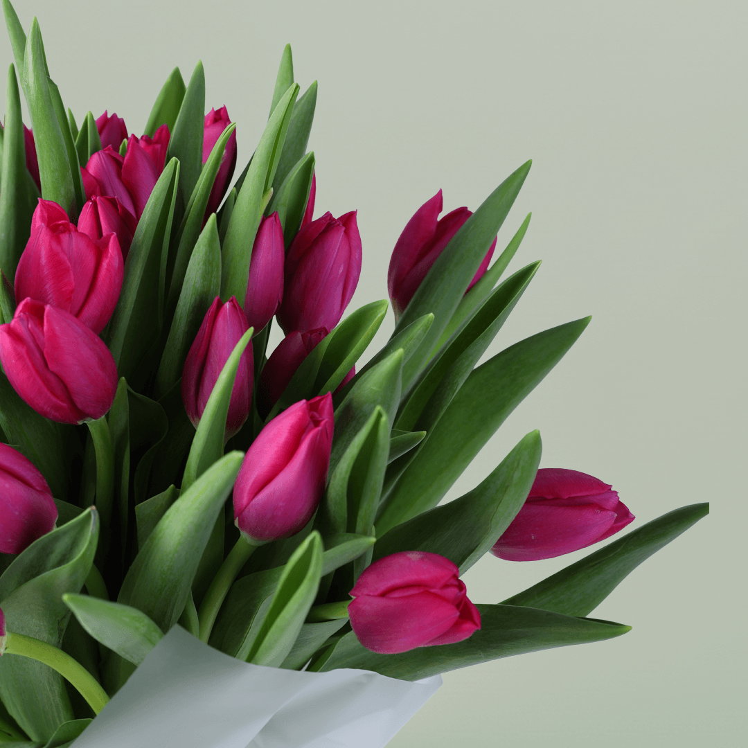 Pink Tulip Bouquet for Mom with 30 pink tulips in Korean-style wrapping