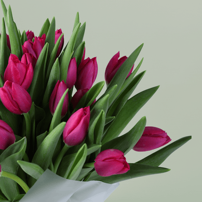 Pink Tulip Bouquet for Mom with 30 pink tulips in Korean-style wrapping