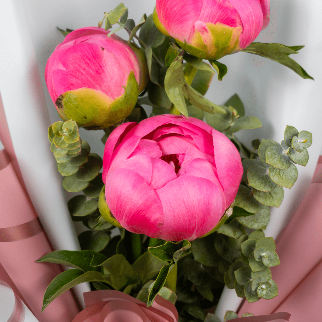 Pink peony bouquet featuring three blooms, fresh greenery and Korean flower wrapping sheets.