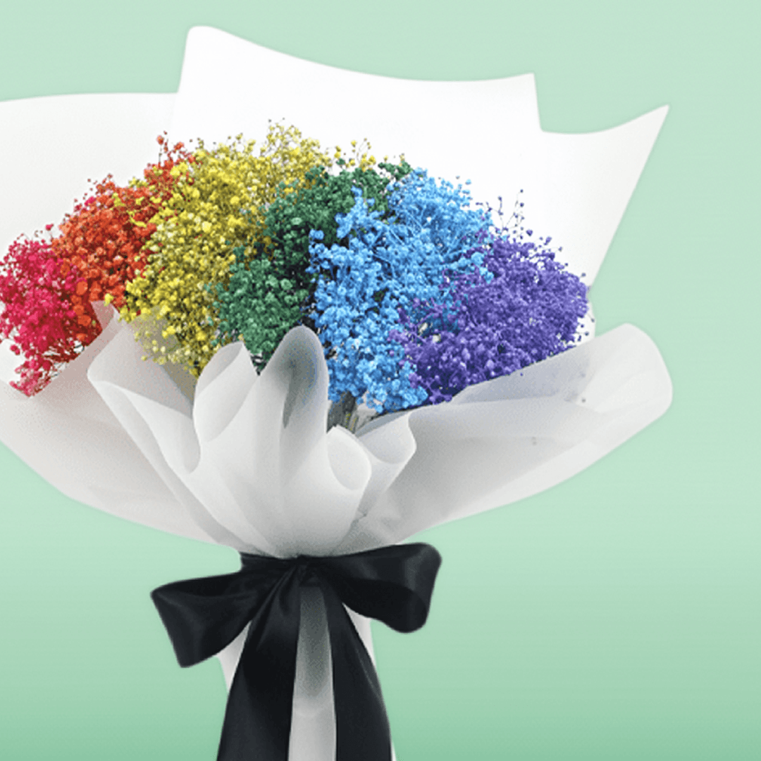 Rainbow baby’s breath bouquet in red, orange, yellow, green, blue and purple with white wrapping and black ribbon