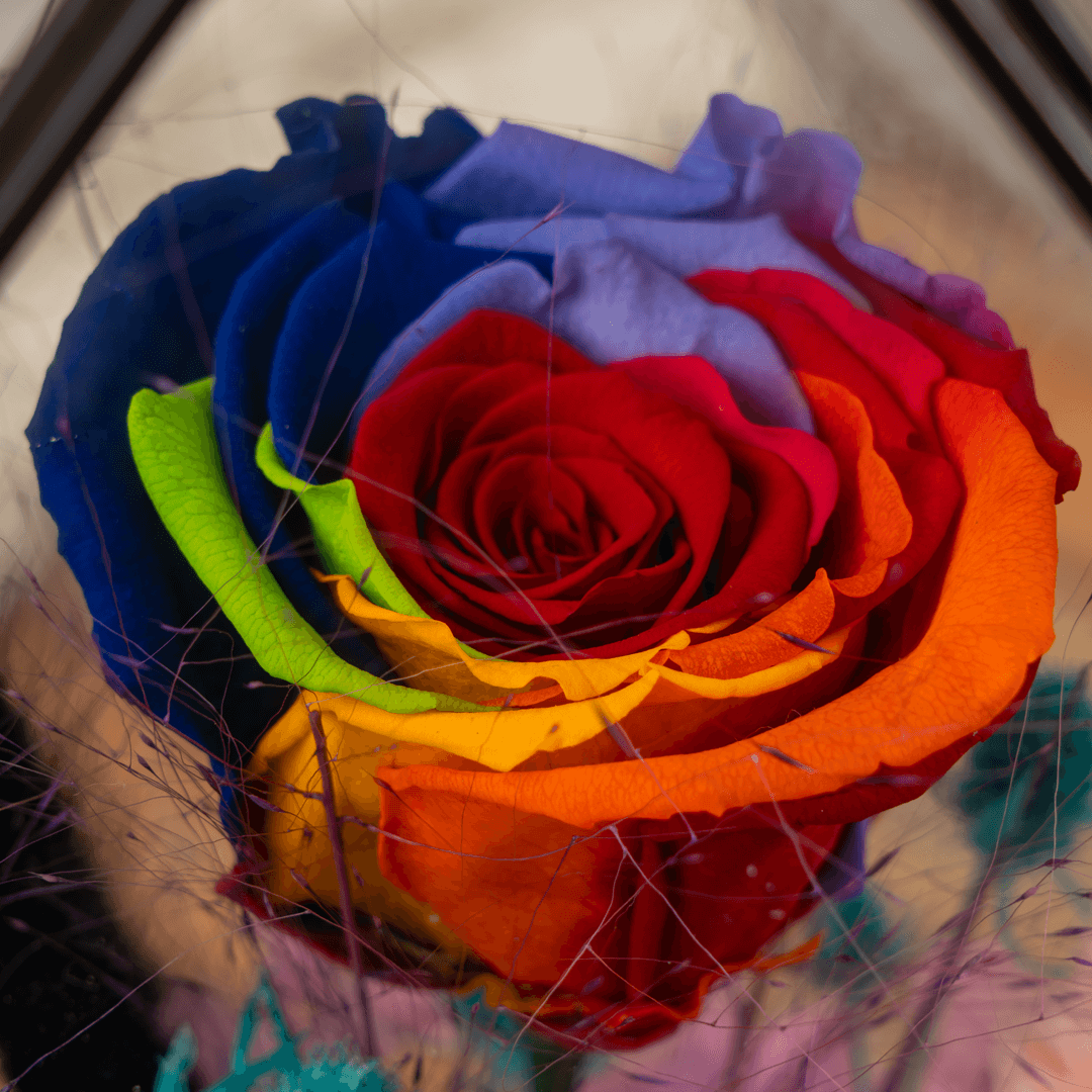 Preserved rainbow roses with dried flowers displayed in a clear glass dome.