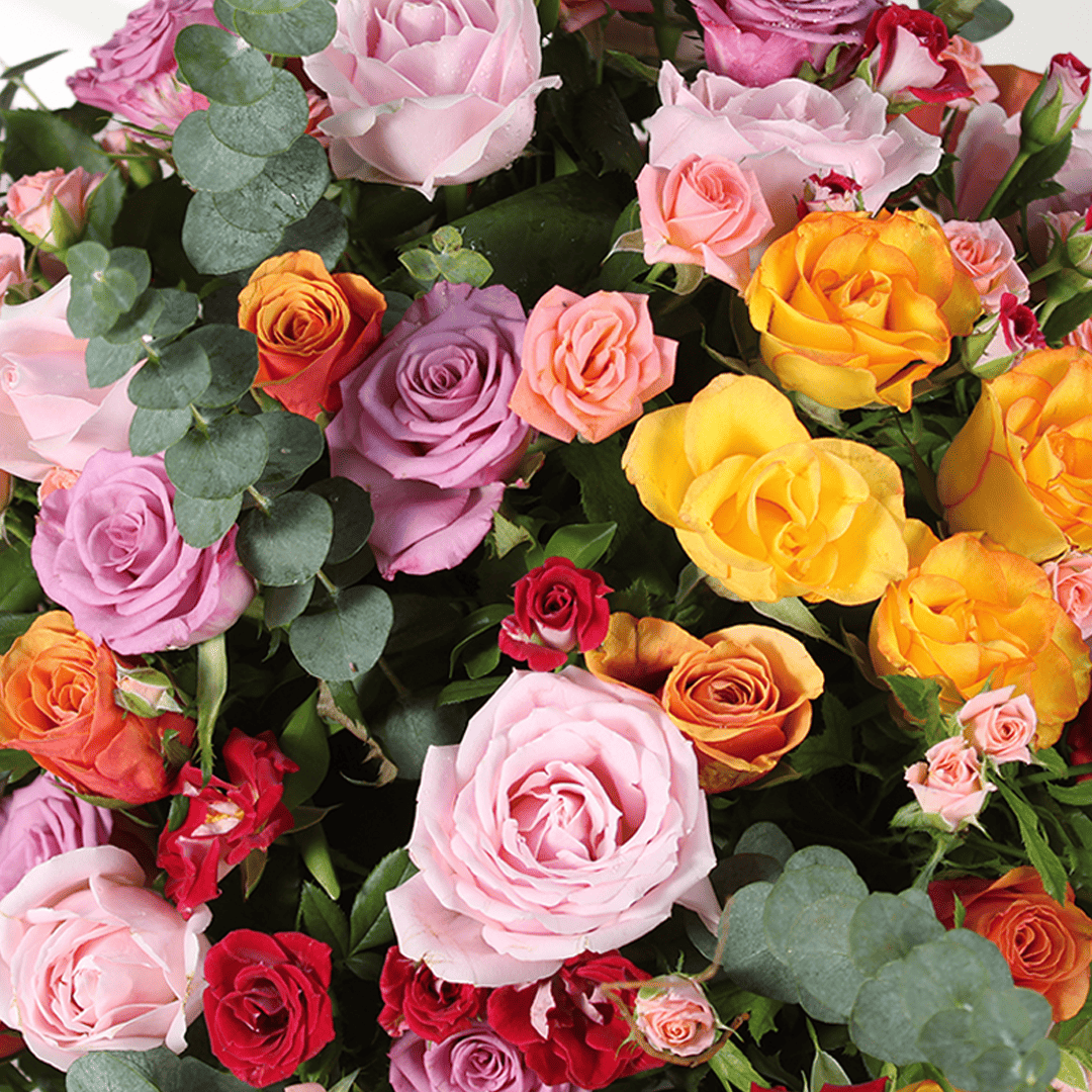 Mixed coloured Roses and Spray Roses with fresh greenery arranged in a pink round flower box.