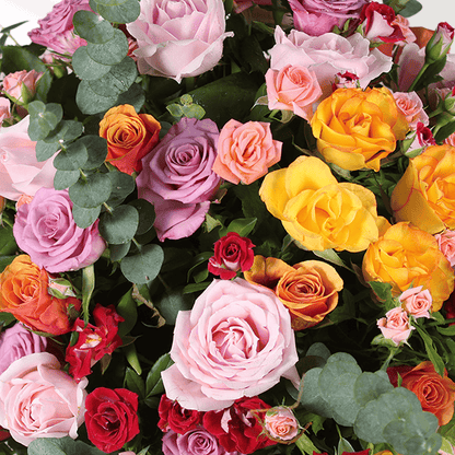 Mixed coloured Roses and Spray Roses with fresh greenery arranged in a pink round flower box.
