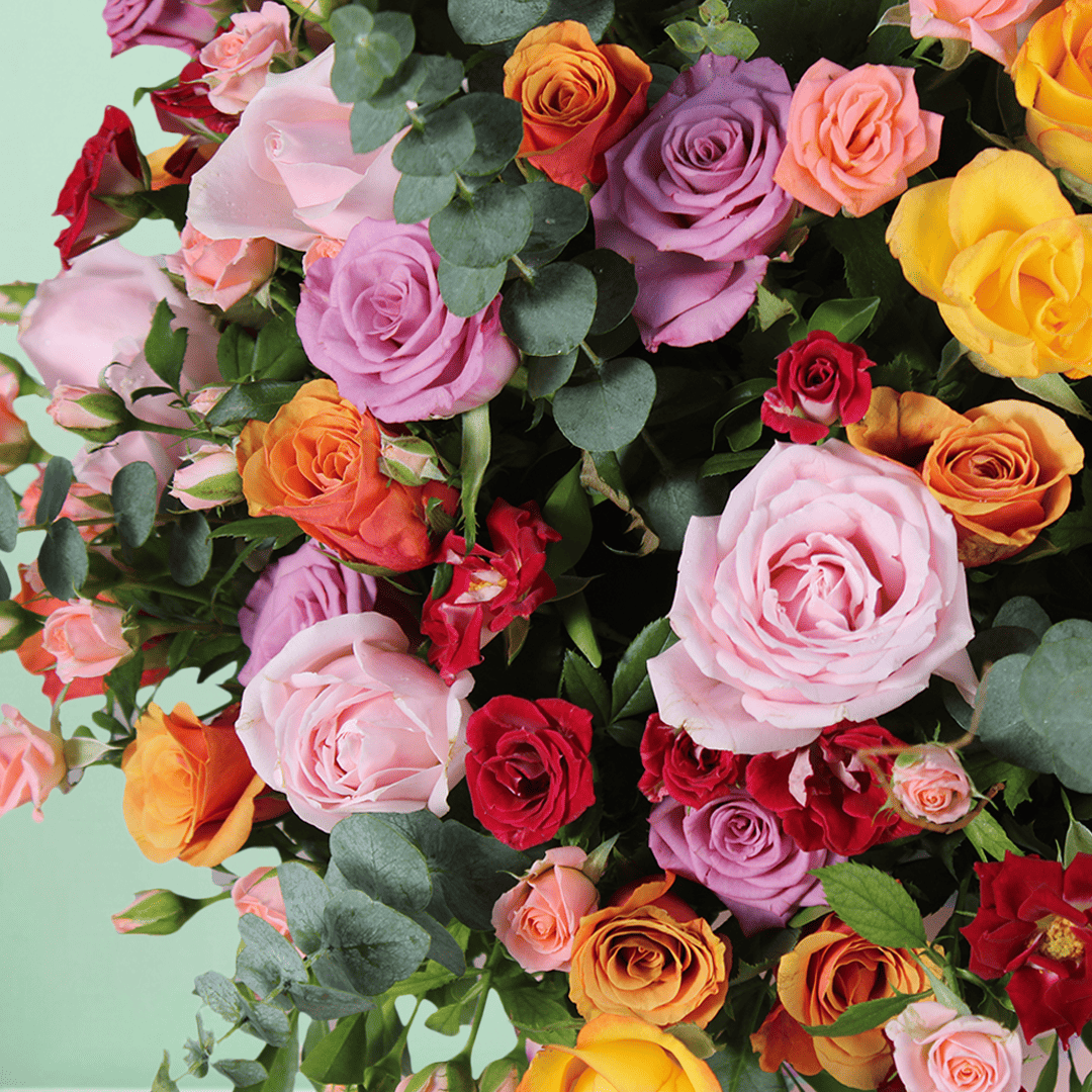 Mixed coloured Roses and Spray Roses with fresh greenery arranged in a pink round flower box.