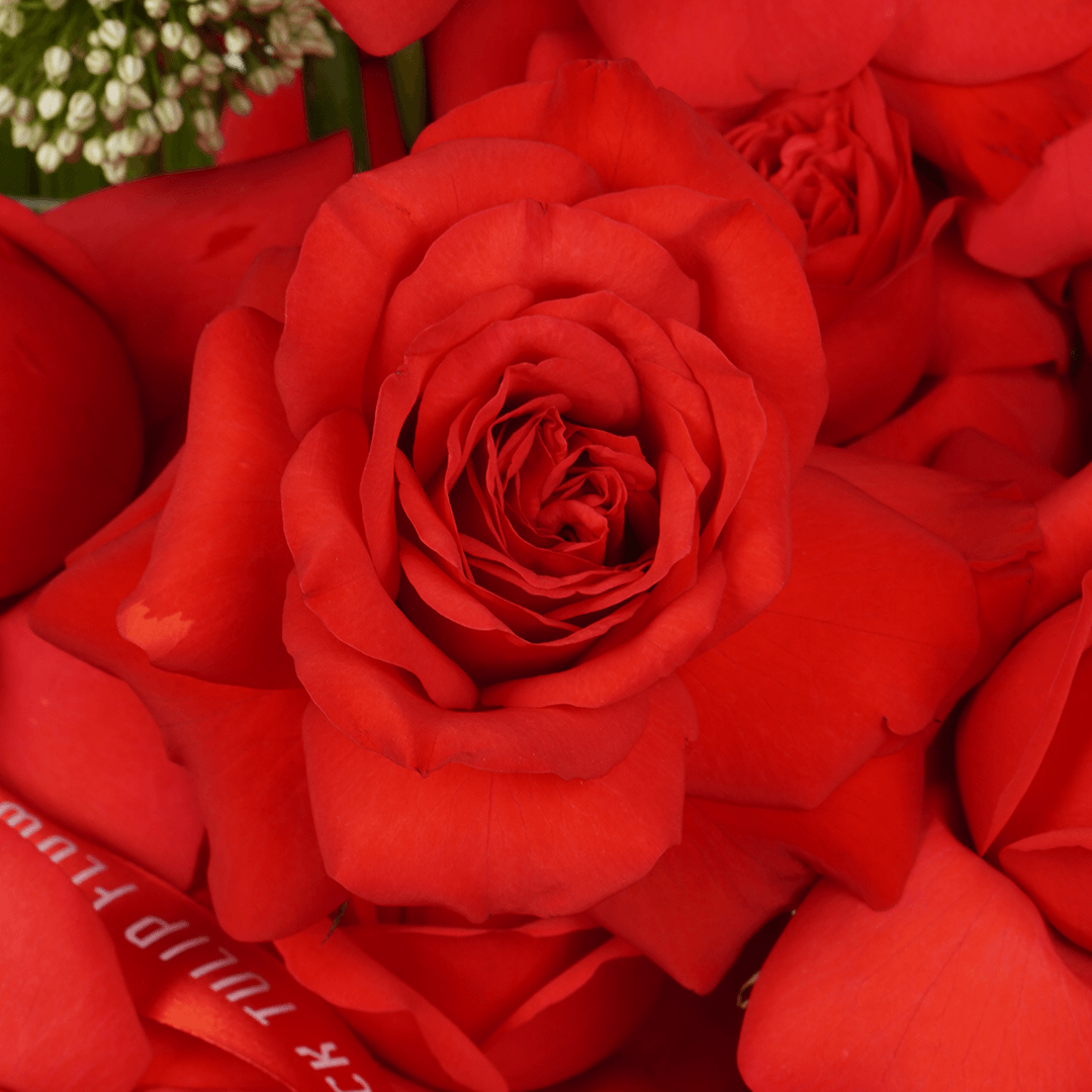 Premium red orchid and rose floral vase with cymbidium Amaranthus and allium bullet