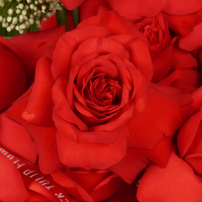 Premium red orchid and rose floral vase with cymbidium Amaranthus and allium bullet