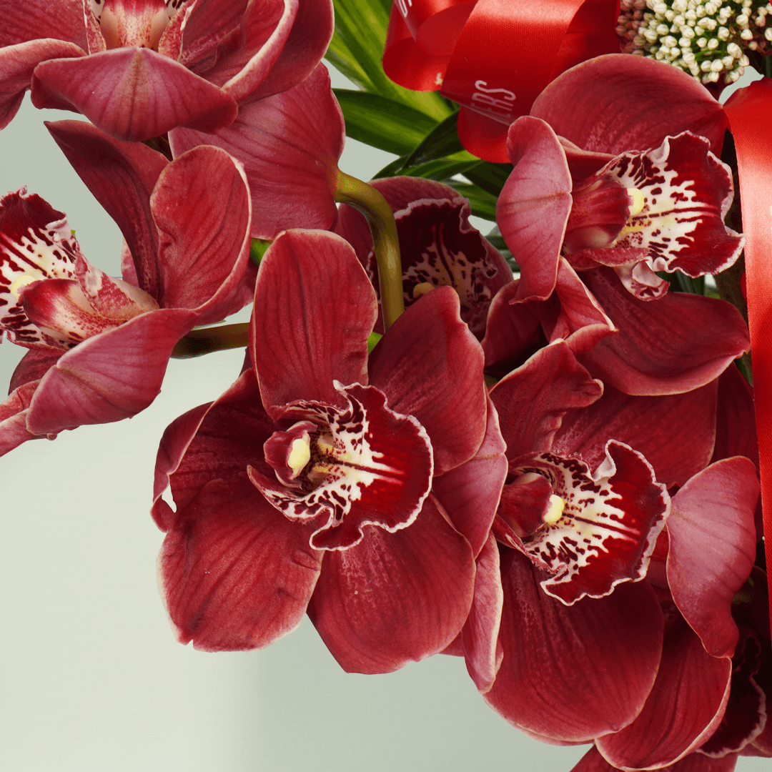 Premium red orchid and rose floral vase with cymbidium Amaranthus and allium bullet