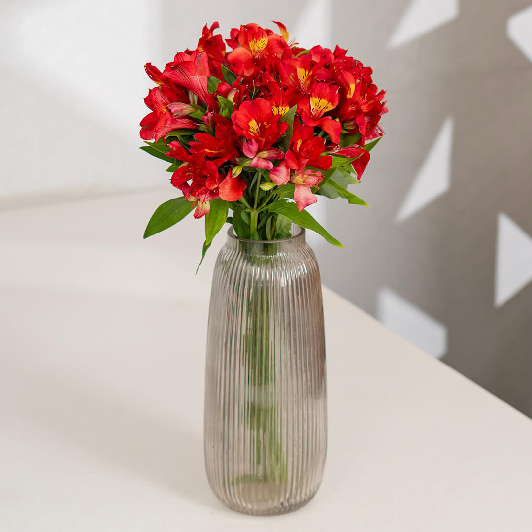 Alstroemeria Fresh Cut Flowers