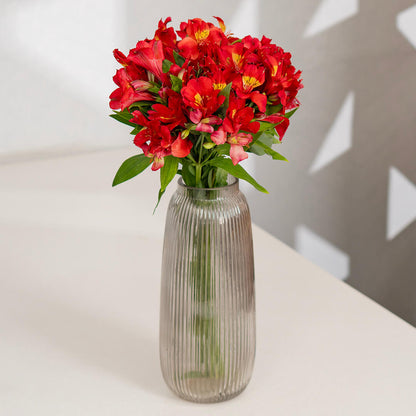 Alstroemeria Fresh Cut Flowers