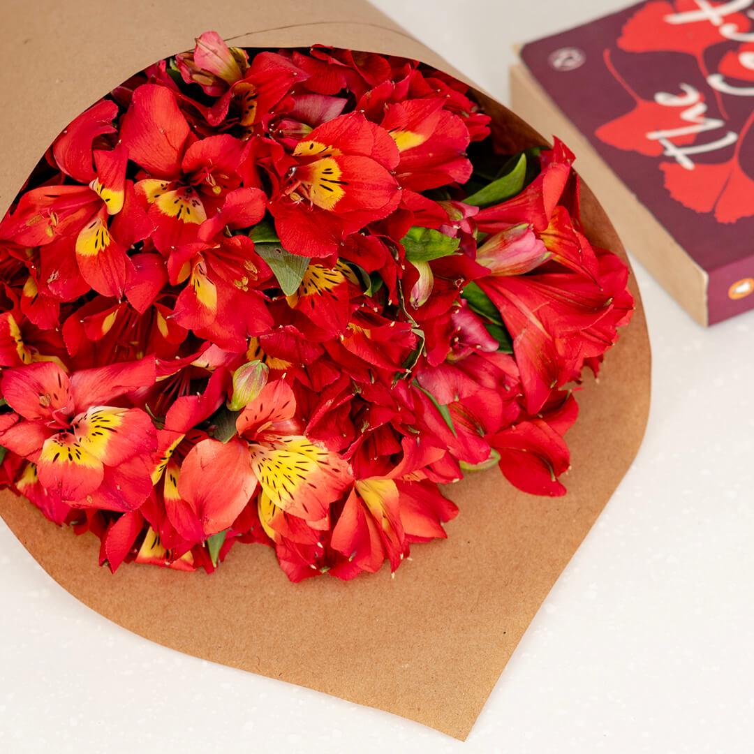 Alstroemeria Fresh Cut Flowers