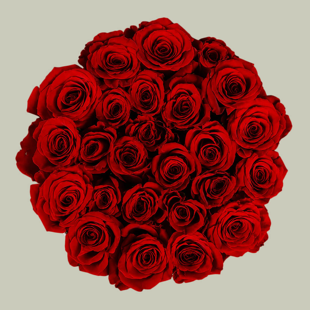 Red roses arranged beautifully in a white box