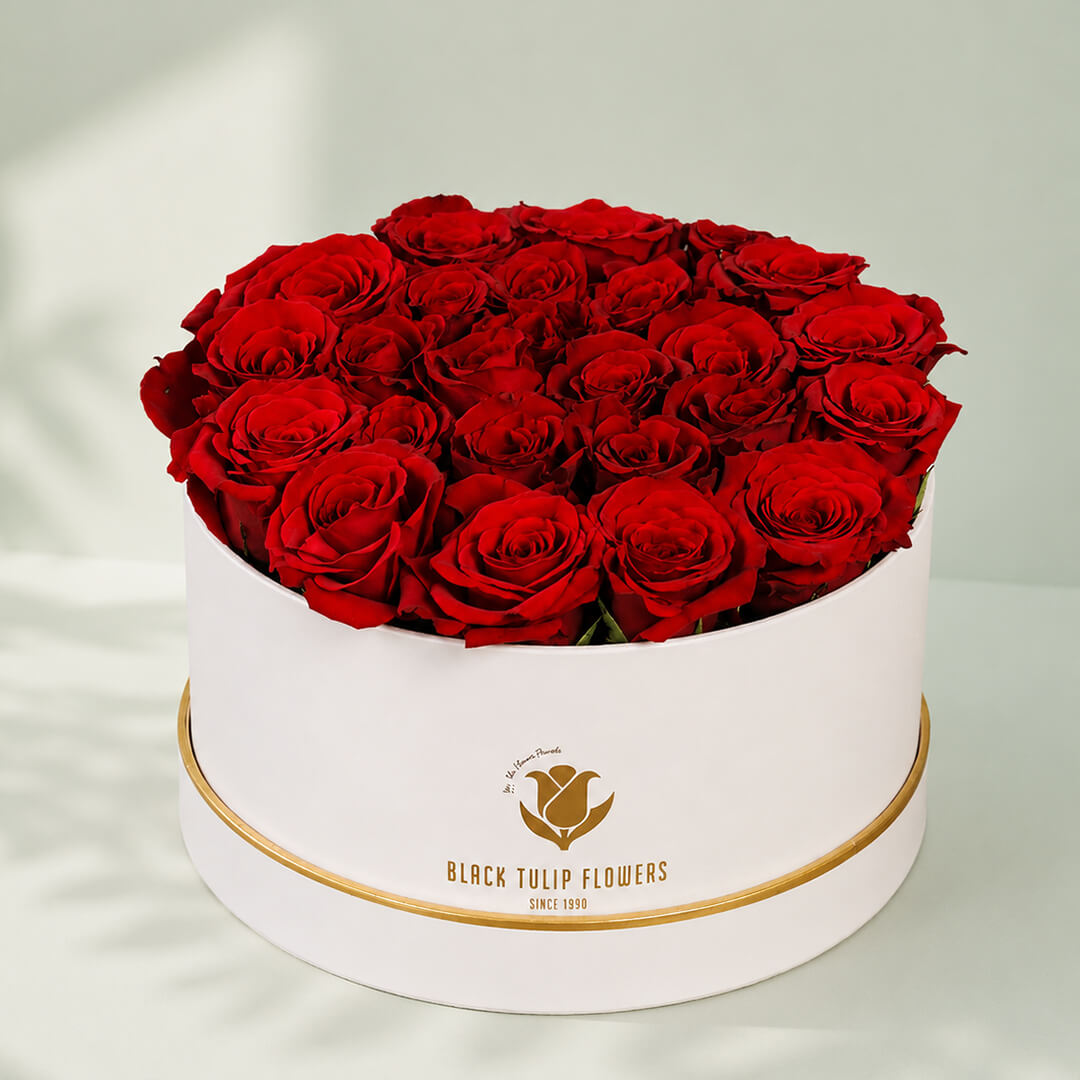 Red roses arranged beautifully in a white box