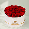 Red Rose in White Box