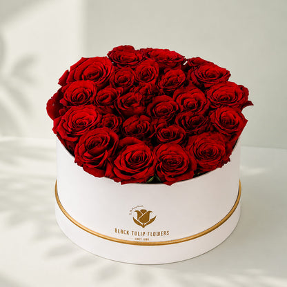 Red roses arranged beautifully in a white box