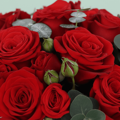 Red Roses Valentine Luxury Box