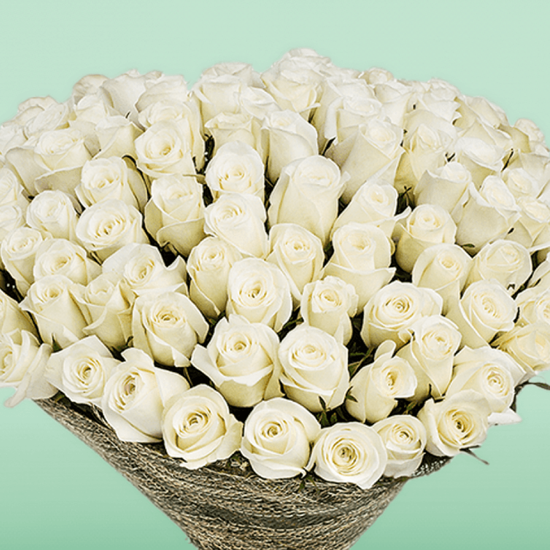 Bouquet of 50 white roses wrapped in natural jute and finished with an ivory ribbon