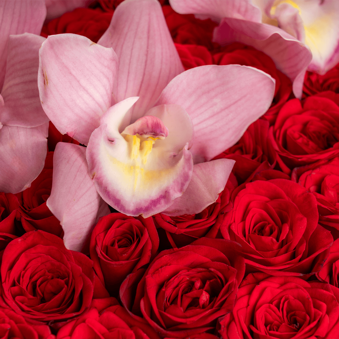 Red roses and pink cymbidium orchids in black heart box