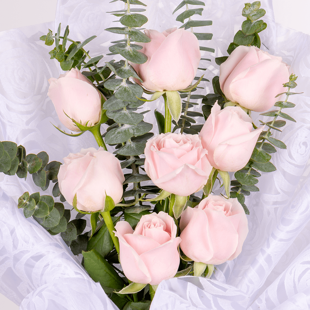 Bouquet of 8 pink roses with eucalyptus wrapped in non-woven paper.