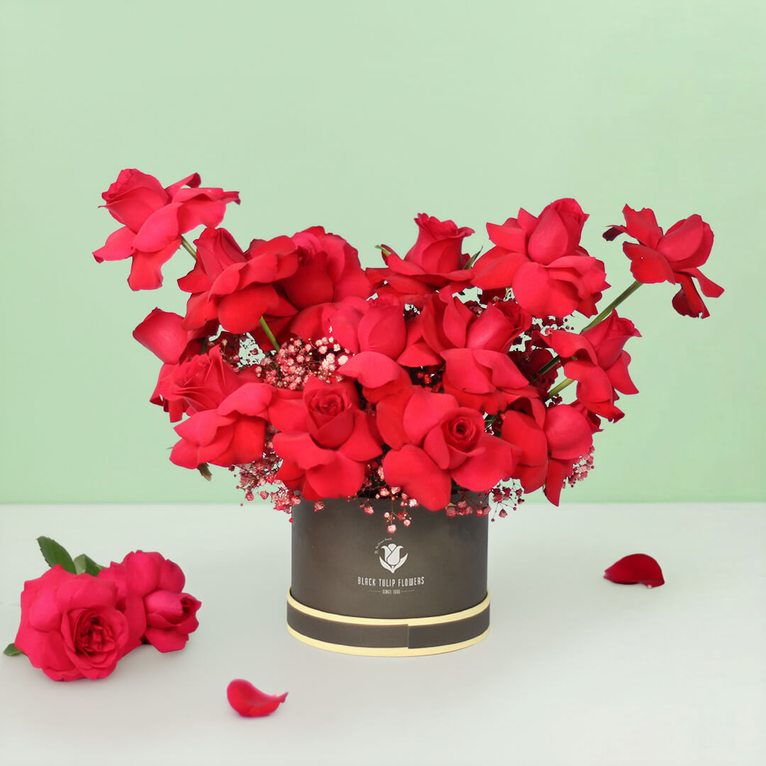 20 red Roses with Gypsophila arranged in a round grey flower box.