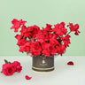 Rose Story - Red Roses in Box