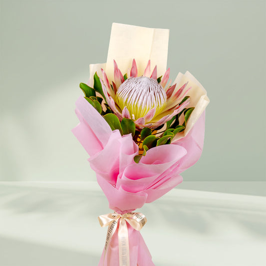 Royal Pink Protea bouquet featuring fresh pink protea flowers for elegant gifting.