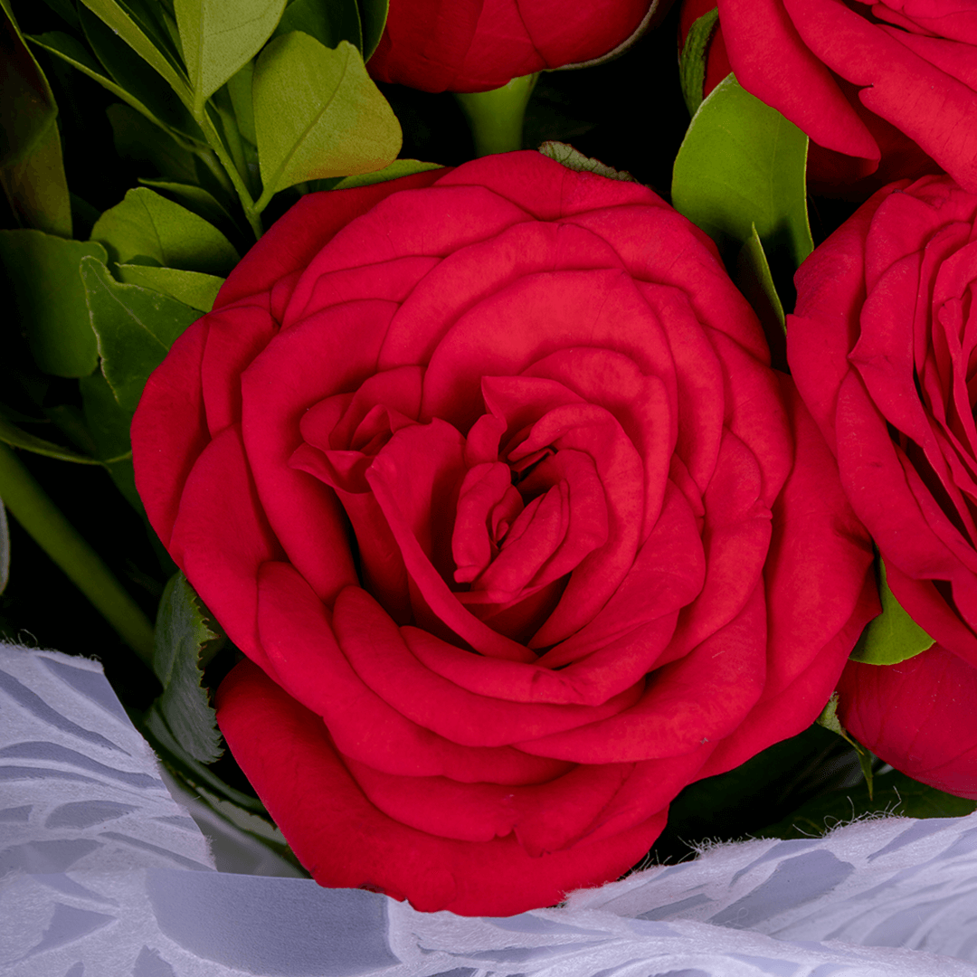 Red Roses Bouquet arranged with 10 red roses with fresh foliage