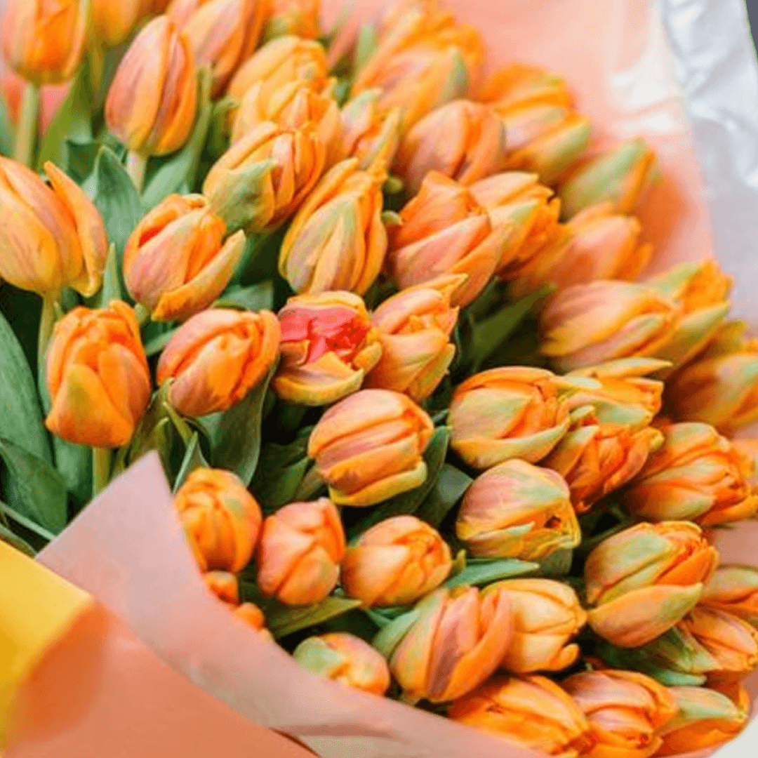 A bouquet featuring 30 orange tulips in peach, orange and grey non-woven wrapping.