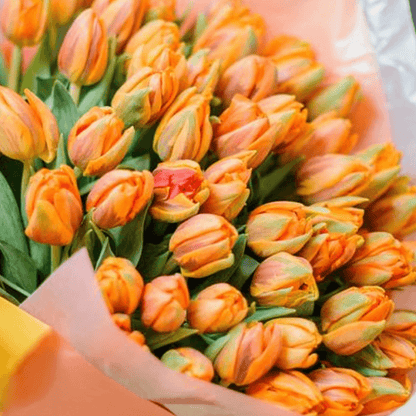 A bouquet featuring 30 orange tulips in peach, orange and grey non-woven wrapping.