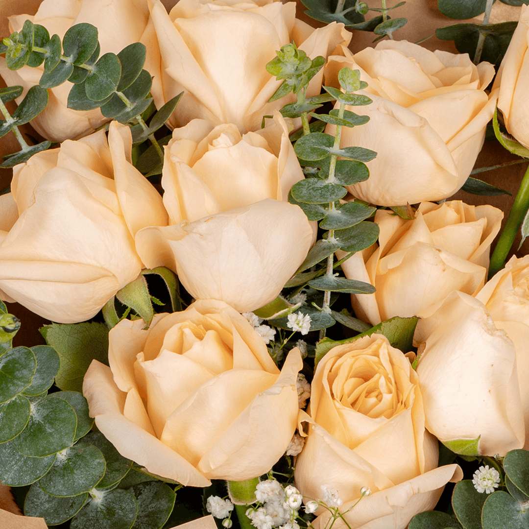 Peach Roses Bouquet arranged with 10 peach roses and eucalyptus
