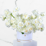 Serene White Box