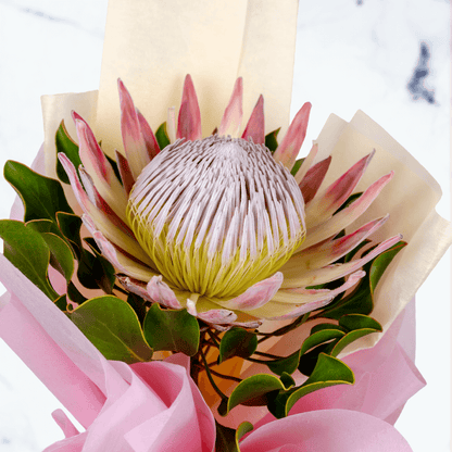 Single pink protea flower bouquet with fresh greenery and elegant pink wrapping.