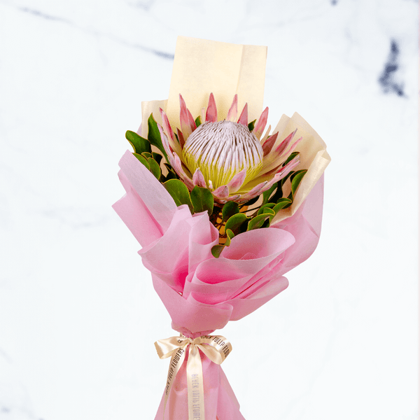 Single pink protea flower bouquet with fresh greenery and elegant pink wrapping.
