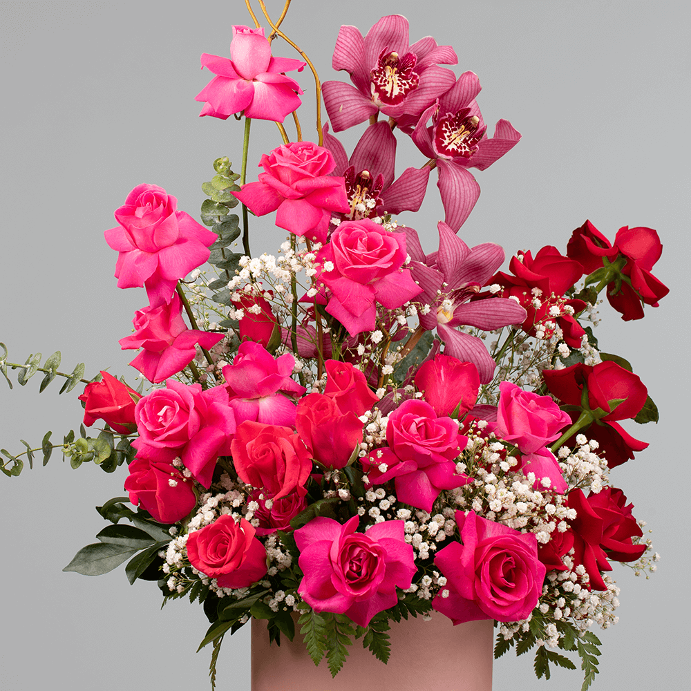 Assorted pink and red Roses with Cymbidium orchids, Gypsophila and Salix Curly branches in a pink round flower box.