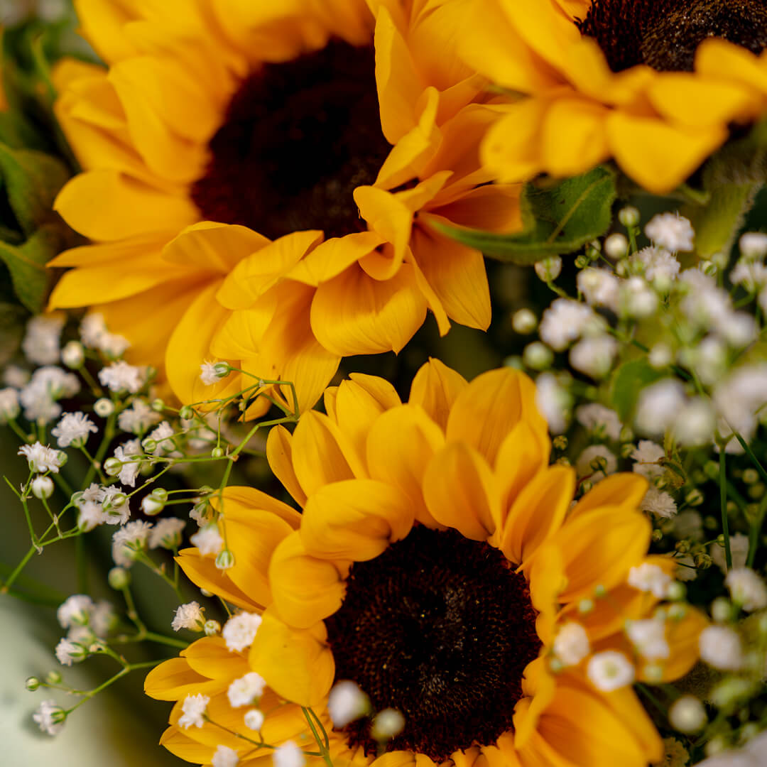 Sunflower bouquet with eucalyptus, white fillers and green wrapping tied with a black ribbon.