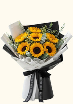 Sunflower Collections