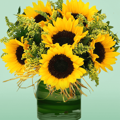 10 sunflowers and delicate fillers in a transparent glass cylinder vase.