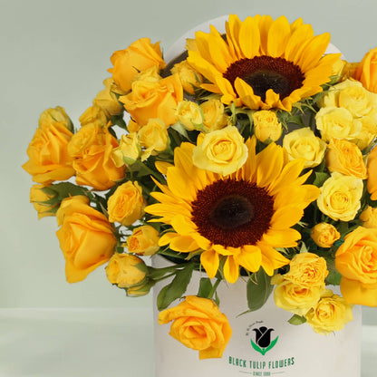 Yellow Sunflowers and Roses arranged with greenery in a white round flower box.