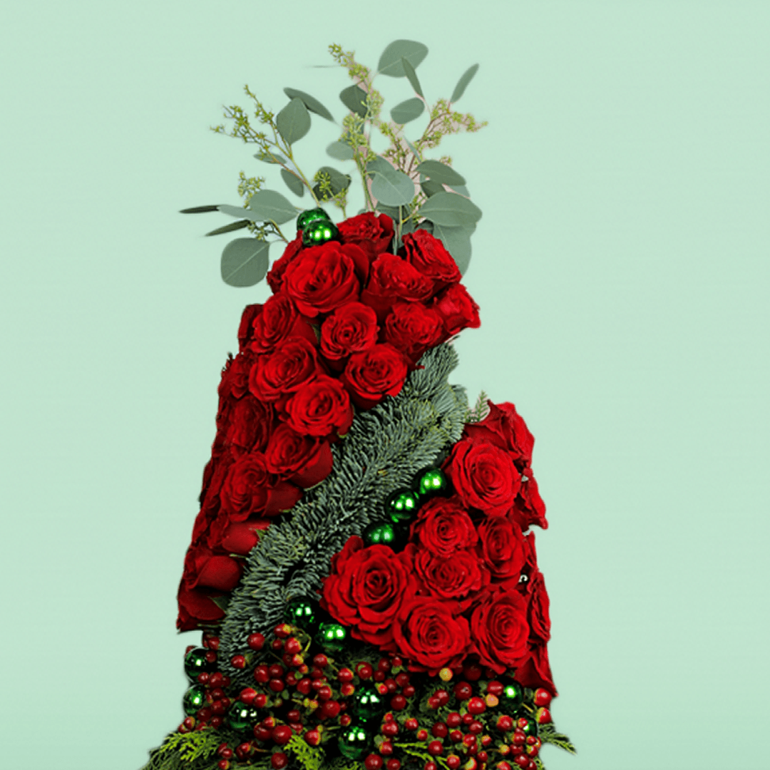 Christmas Present - Tree Shaped - christmas rose plant - Image 2