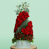 Christmas Present - Tree Shaped - christmas rose plant