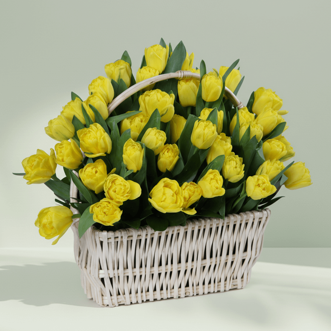50 yellow tulips with greenery arranged in a square white woven basket
