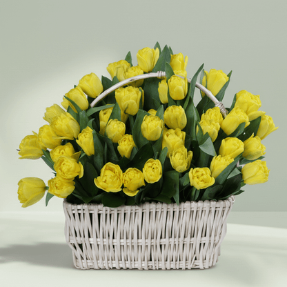 50 yellow tulips with greenery arranged in a square white woven basket