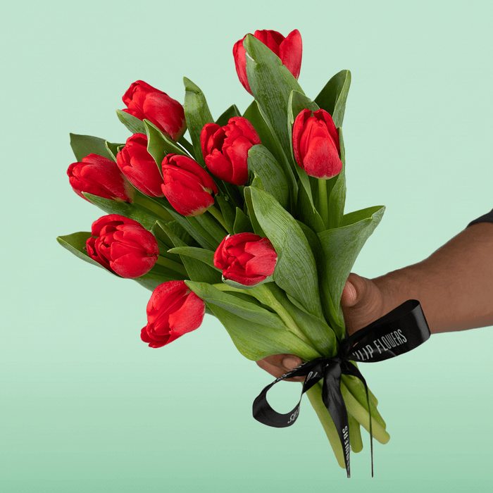 Unchained Melody - Red Tulips