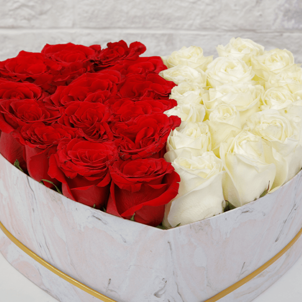 Red and white roses arranged in equal halves inside a small white heart-shaped box.