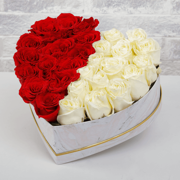 Red and white roses arranged in equal halves inside a small white heart-shaped box.
