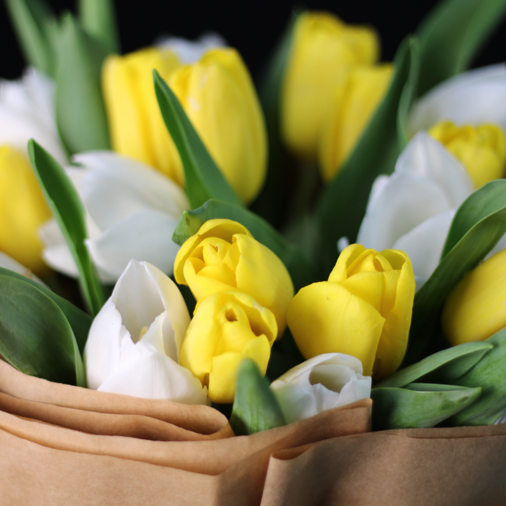 Bouquet of 20 white and yellow tulips wrapped in brown non-woven paper