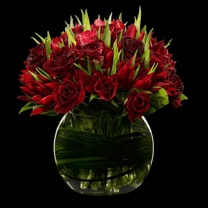 Lavish Red Tulip